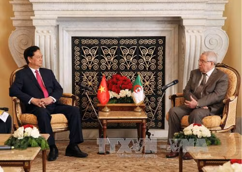 Thủ tướng Nguyễn Tấn Dũng hội đàm với Thủ tướng Algeria ảnh 3