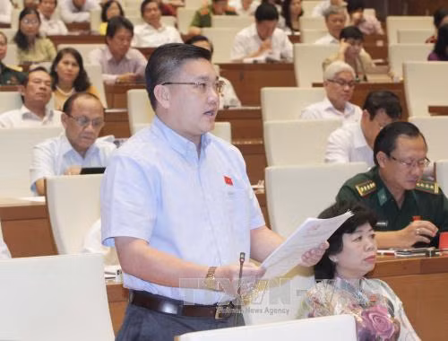 'Chục ký hành tím không đổi được bát phở thì cay mắt lắm' ảnh 1