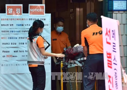 Hàn Quốc: Hơn 200 trường học đóng cửa vì MERS ảnh 1