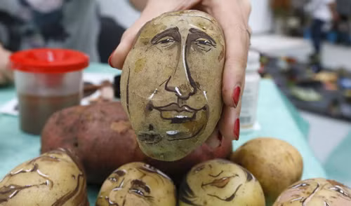 Tình yêu muôn màu dành cho Tổng thống Putin ảnh 3