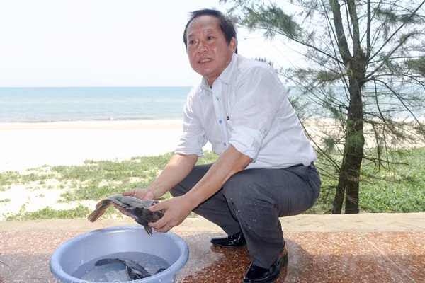 Bộ trưởng mời nhà báo ăn cá tại biển Nhật Lệ, Quảng Bình ảnh 2
