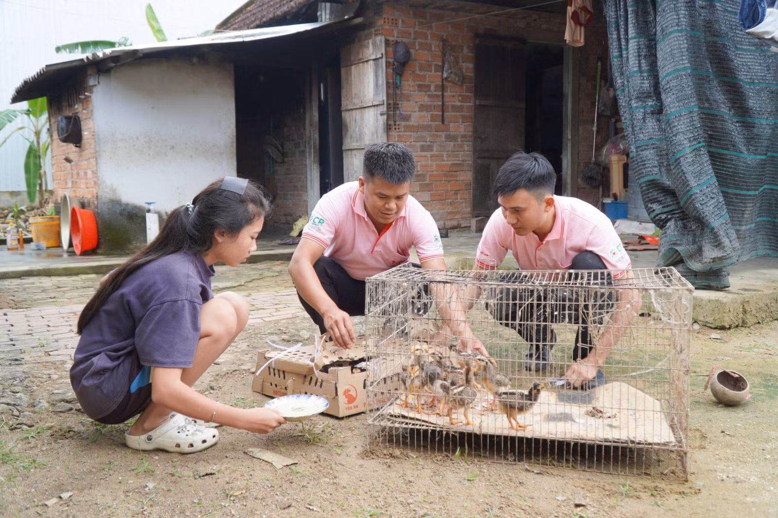 Chú thích ảnh