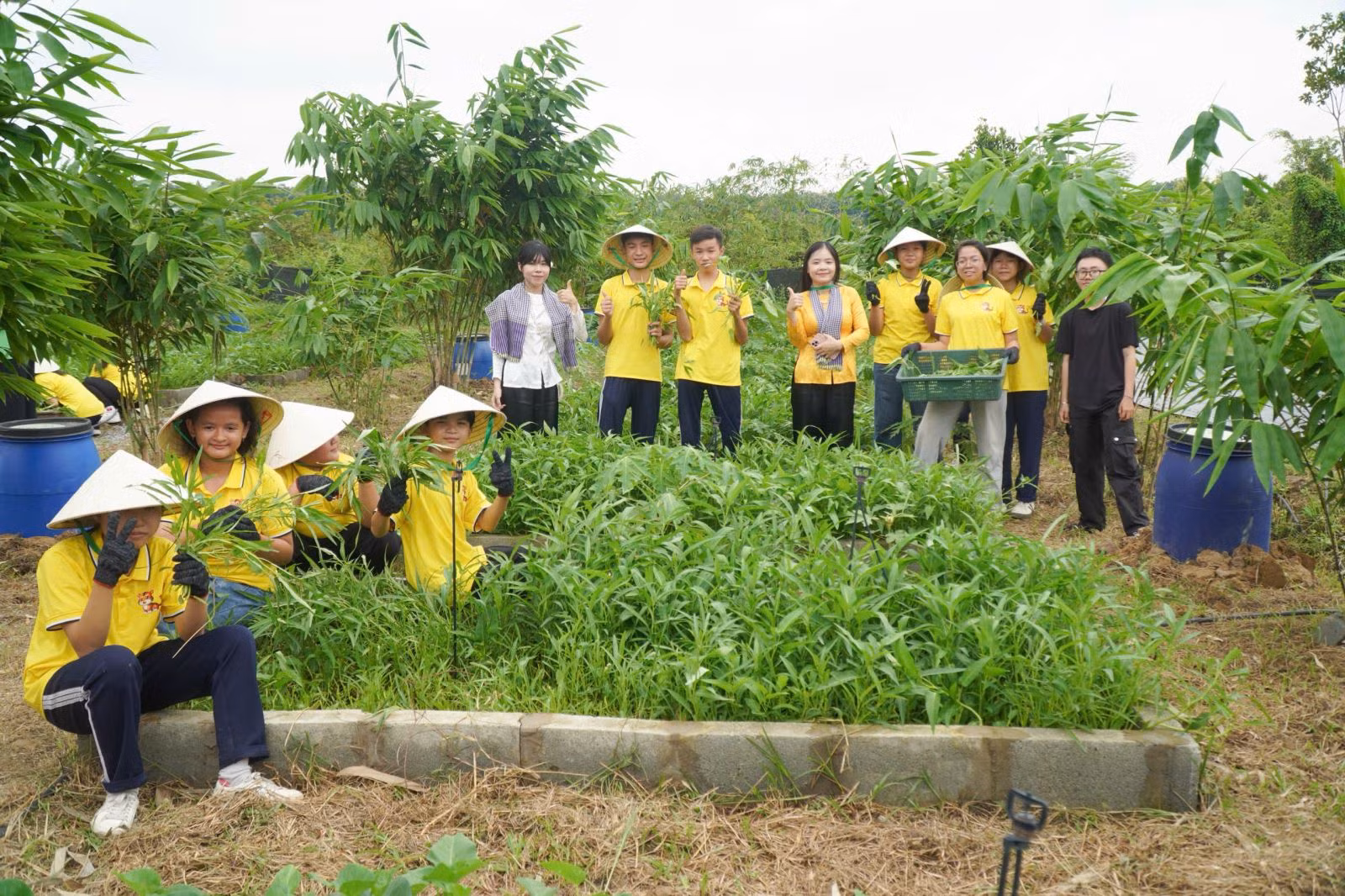 Chú thích ảnh