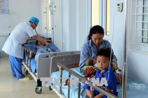 Sơn La: Chín người bị cấp cứu vì ăn nhầm nấm độc ảnh 1