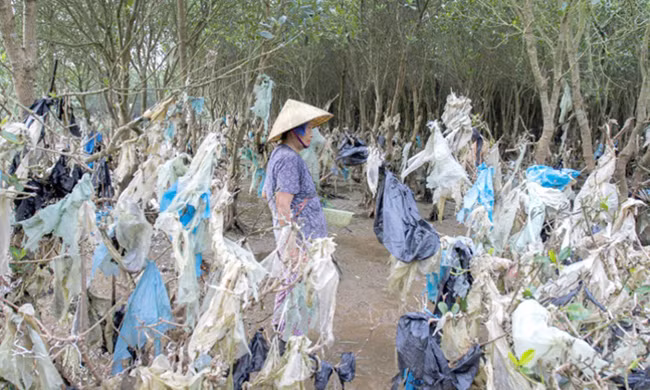 Giới chuyên gia cảnh báo các nước Đông Nam Á về tình trạng thải rác nhựa ra biển ảnh 1