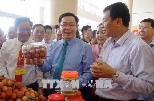 Cần cải thiện khâu bảo quản sau thu hoạch, chế biến và tiêu thụ vải thiều ảnh 2
