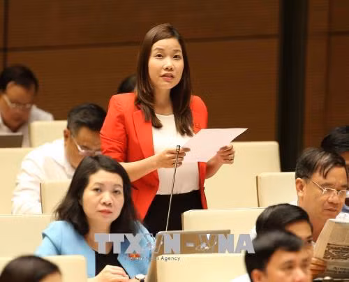  Bảo vệ lao động tự do và người làm việc trong các doanh nghiệp FDI ảnh 2