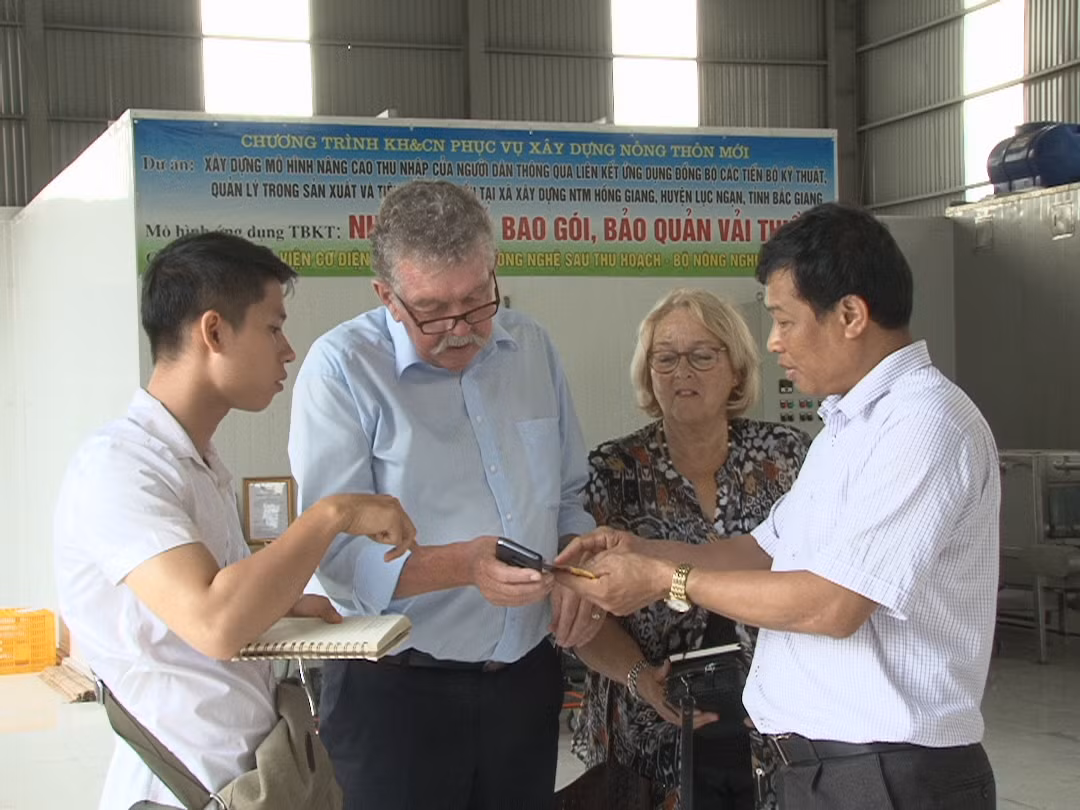 Vải thiều tiêu chuẩn VietGAP, GlobalGAP tiêu thụ thuận lợi, giá bán cao ảnh 1