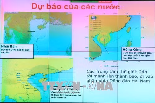 Họp khẩn ứng phó với áp thấp nhiệt đới diễn biến phức tạp ảnh 2