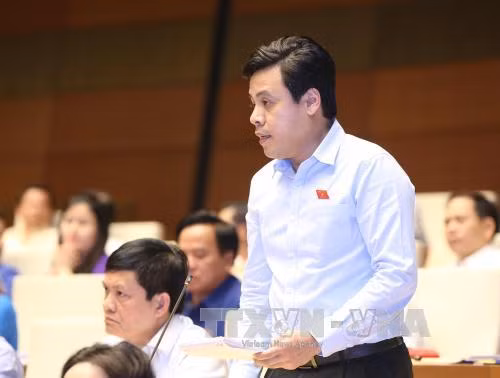 Đại biểu Quốc hội kỳ vọng vào phiên chất vấn sắp tới ảnh 3