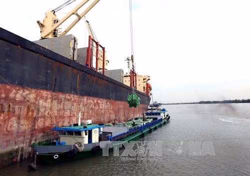 Kim ngạch xuất khẩu nông, lâm, thuỷ sản đạt 13,7 tỷ USD ảnh 1