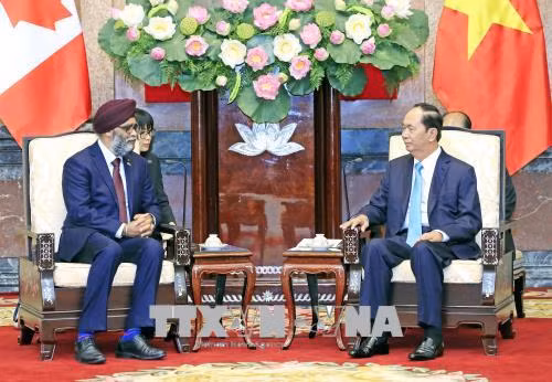 Chủ tịch nước Trần Đại Quang tiếp Bộ trưởng Bộ Quốc phòng Canada Harjit Singh Sajjan ảnh 1