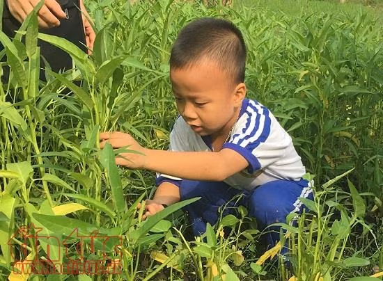 Nhiều khuyến mãi cùng đa dạng các tour du lịch hè ảnh 2