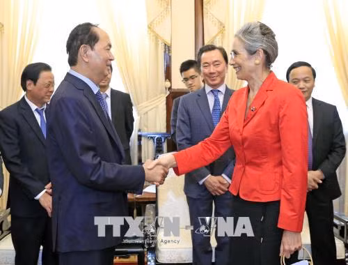 Chủ tịch nước Trần Đại Quang tiếp Đại sứ Hà Lan chào kết thúc nhiệm kỳ ảnh 1