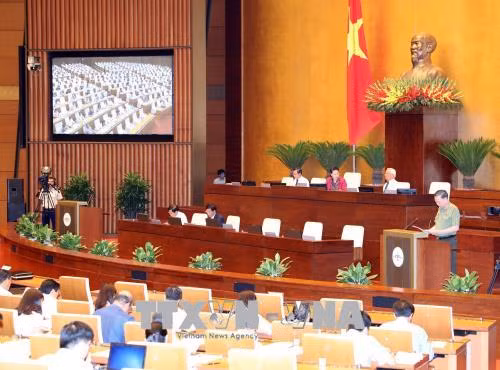 Cho ý kiến hai dự thảo Luật và dự kiến Chương trình giám sát của Quốc hội năm 2019 ảnh 1