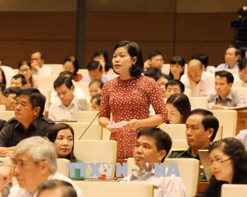 Đại biểu Quốc hội tỉnh Hưng Yên Nguyễn Thị Phúc chất vấn. Ảnh: Phương Hoa/TTXVN