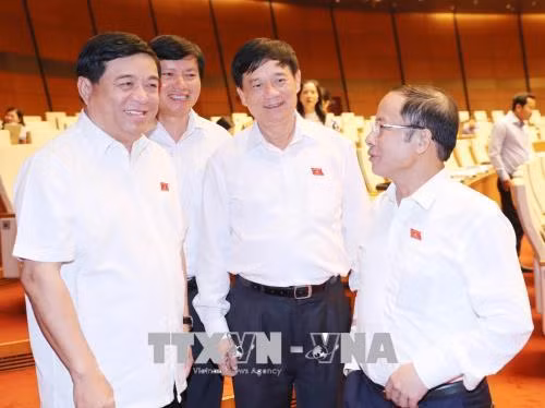 Đại biểu Quốc hội hài lòng phần trả lời chất vấn của Bộ trưởng Trần Hồng Hà ảnh 1