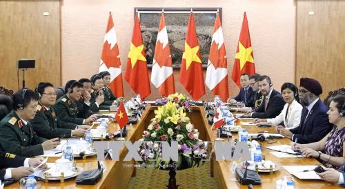 Bộ trưởng Bộ Quốc phòng Canada thăm chính thức Việt Nam ảnh 3