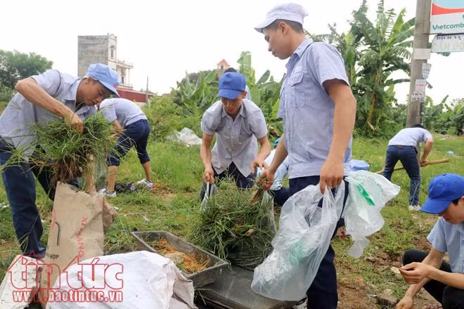Hưng Yên: Chung tay giảm gánh nặng ô nhiễm môi trường ảnh 6