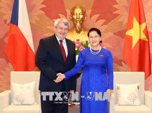Chủ tịch Quốc hội tiếp Phó Chủ tịch Hạ viện Cộng hòa Séc ảnh 1