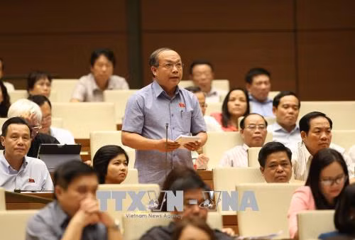 Cử tri đề nghị thực hiện đồng bộ các giải pháp phòng chống bạo hành, xâm hại trẻ em ảnh 2