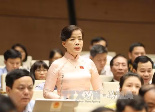 Đại biểu Quốc hội kỳ vọng vào phiên chất vấn sắp tới ảnh 1
