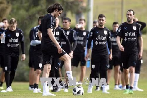 Tuyển Uruguay chi tới 1,3 triệu USD để thuê chuyên cơ tới Nga thi đấu ảnh 1