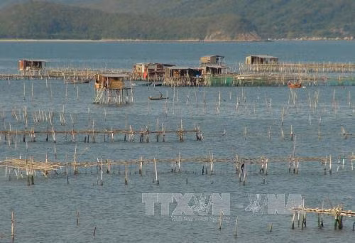 Phát triển ngành thủy sản Khánh Hòa - Bài cuối: Bảo tồn các nguồn tài nguyên thiên nhiên biển ảnh 1