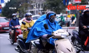 Thời tiết tuần 5 - 11/2: Miền Bắc tiếp tục đón không khí lạnh, có nơi rét đậm rét hại