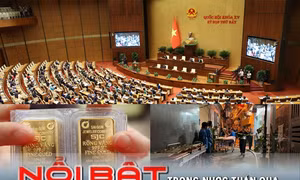 Tin tức TV: Cháy nhà trên phố Trung Kính; các trường đại học công bố điểm chuẩn xét tuyển sớm