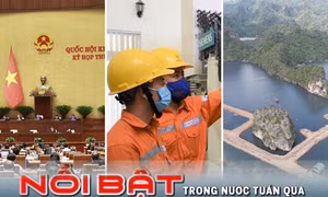 Tin tức TV: Nghị trường Quốc hội nóng với phiên chất vấn; xử lý dự án khu đô thị ‘quây’ vịnh Hạ Long
