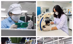 Hà Nội đứng đầu về chỉ số đổi mới sáng tạo cấp địa phương 2023