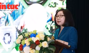 Thực hiện EPR giúp doanh nghiệp có cơ hội tham gia sâu rộng vào chuỗi giá trị toàn cầu