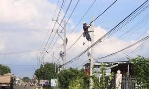 Đồng Nai di dời đường điện phục vụ mở rộng tỉnh lộ 753