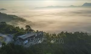 Biển mây huyền ảo trên đèo Tằng Quái