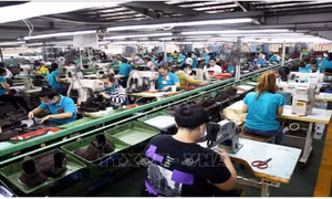 Dự báo về sự khởi sắc của kinh tế Việt Nam