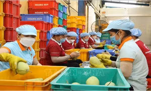 Ngoại giao kinh tế đưa nông sản Việt vươn xa