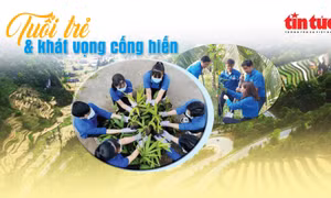 Talk show: Tuổi trẻ và khát vọng cống hiến 
