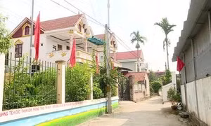 Khi người trẻ là Trưởng thôn