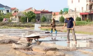 Diêm dân Ninh Bình gian nan giữ nghề muối truyền thống