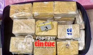 Tin nóng trong nước nghe nhanh sáng 14/4