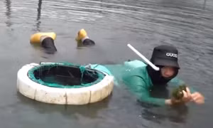 'Bay trên mặt nước' để hái rong nho ở Ninh Hòa