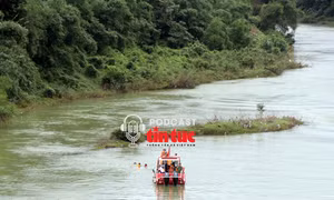 Tin nóng trong nước nghe nhanh sáng 24/11