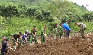 Giúp người dân vùng lũ Sơn La sớm có nơi ở mới