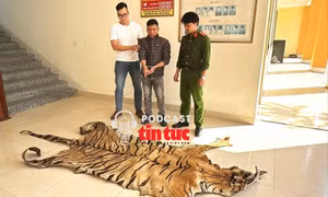 Tin nóng trong nước nghe nhanh sáng 17/12