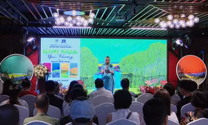 'Bốn mùa yêu thương' đầy màu sắc trong tranh của họa sĩ Nguyễn Mạnh Hùng