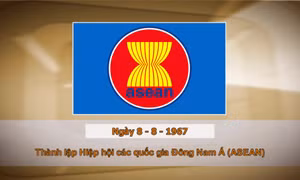 Khoảnh khắc & sự kiện ngày 8/8