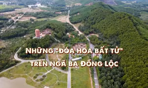Thông điệp lịch sử: Những 'đóa hoa bất tử' trên ngã ba Đồng Lộc