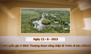 Khoảnh khắc & sự kiện ngày 12/8