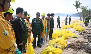 Hàng chục tấn dầu tràn vón cục trôi dạt vào bờ biển thành phố Huế